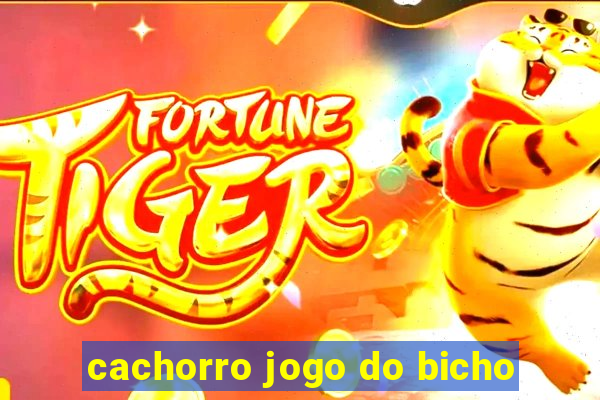 cachorro jogo do bicho